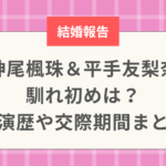 神尾楓珠＆平手友梨奈の馴れ初めは？共演歴や交際期間まとめ