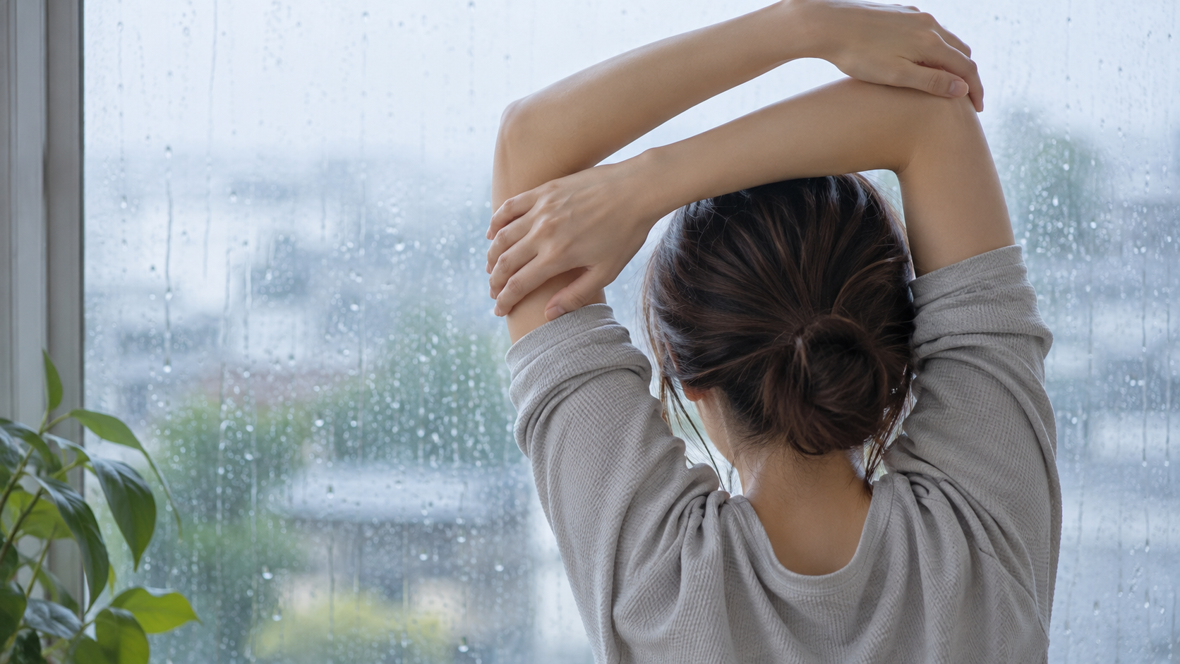 雨の窓辺で観葉植物のそばに立ち、ゆっくり背伸びをする後ろ姿